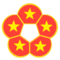 VN Token